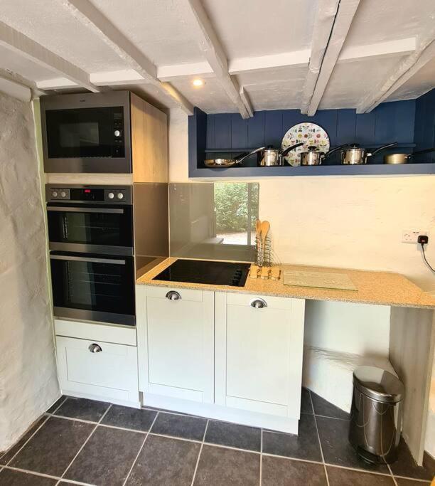 Mill Cottage Garden Annexe Newton Abbot Dış mekan fotoğraf