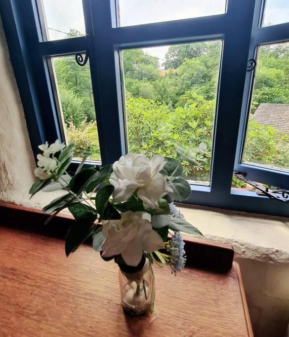 Mill Cottage Garden Annexe Newton Abbot Dış mekan fotoğraf