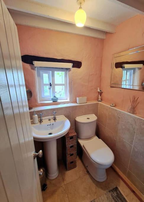 Mill Cottage Garden Annexe Newton Abbot Dış mekan fotoğraf