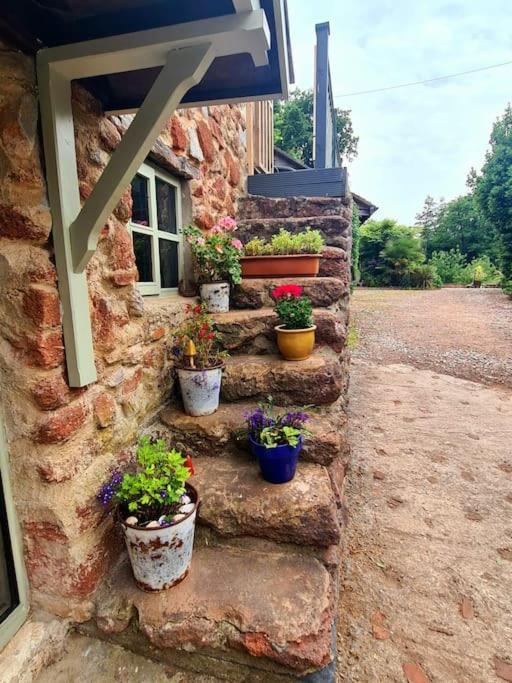 Mill Cottage Garden Annexe Newton Abbot Dış mekan fotoğraf